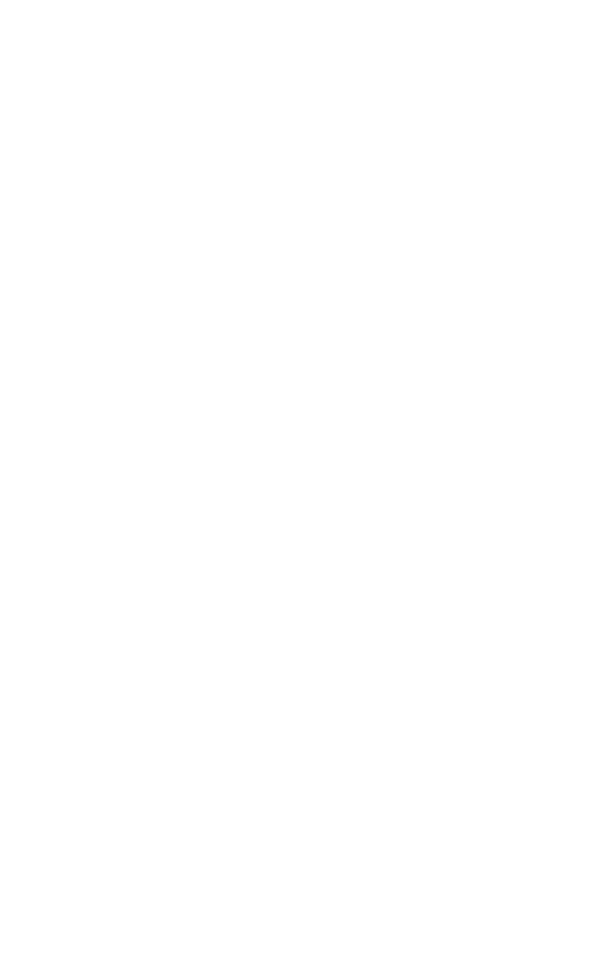 Loading animation